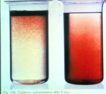 Results of Wastewater Treatability